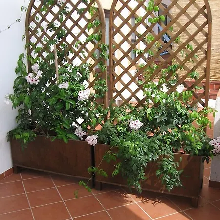 Casa Nonna Rosa Santa Marina Salina